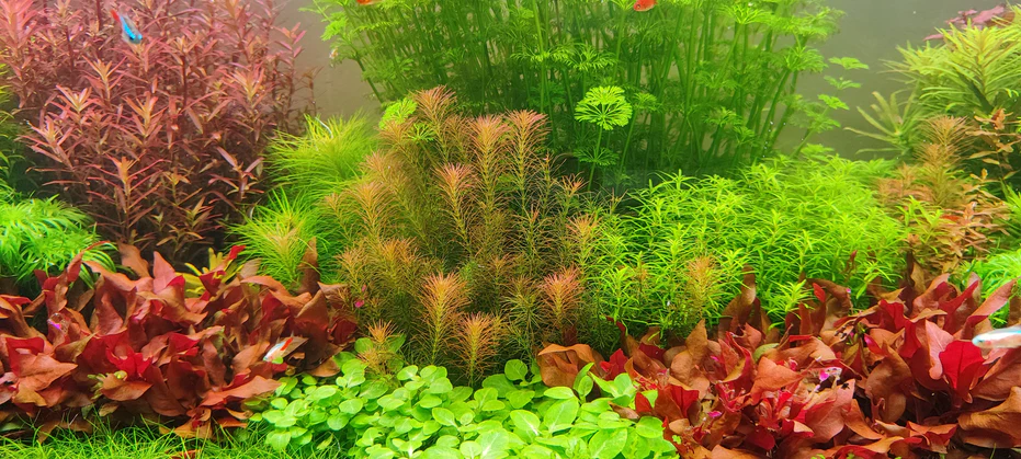 Master Your Underwater World