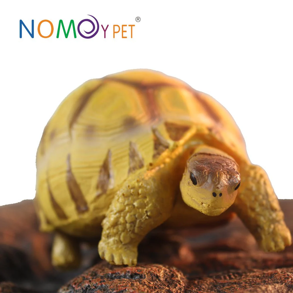 NOMOYPET A4 Turtle Decoration/Prop