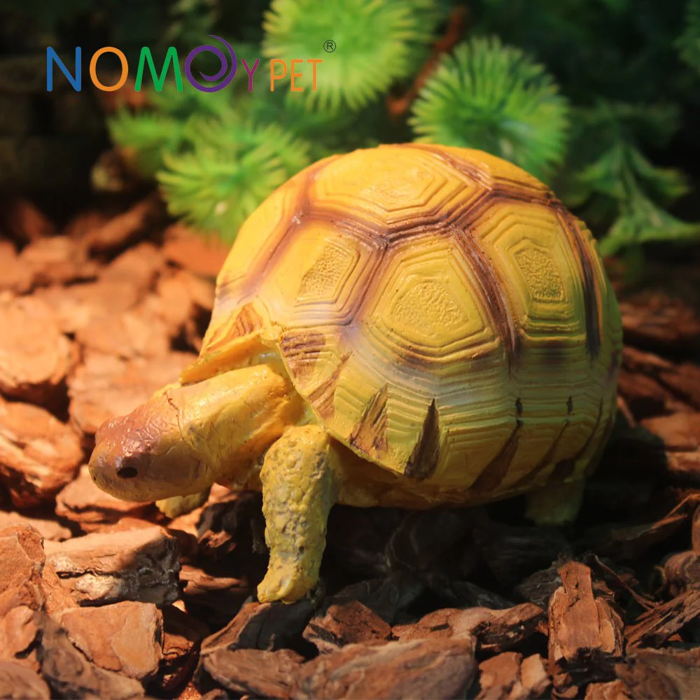 NOMOYPET A4 Turtle Decoration/Prop - Image 2