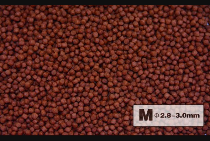 AquaMaster Premium FlowerHorn Pellet 200g (with natto probiotics) - Image 3
