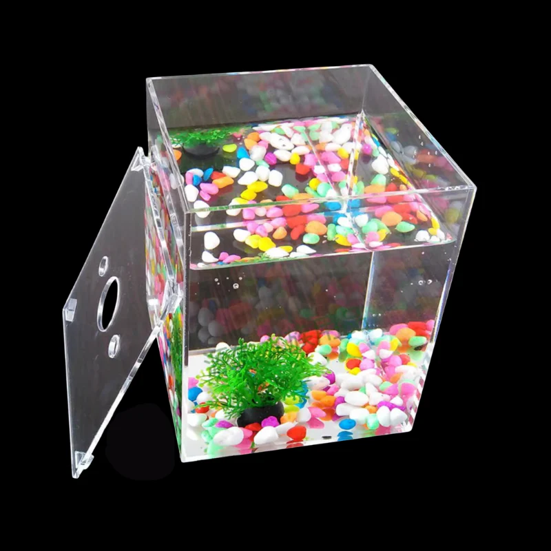 ANS Acrylic Betta Tank (Various size) - Image 4