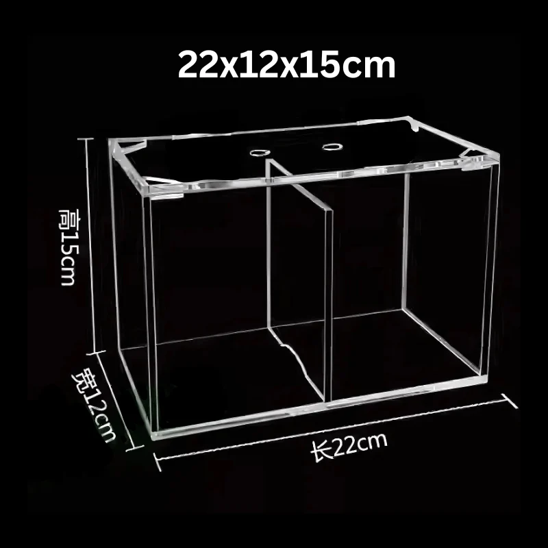 ANS Arcylic Tank 2-compartment 22x12x15cm (B2212) - Image 2