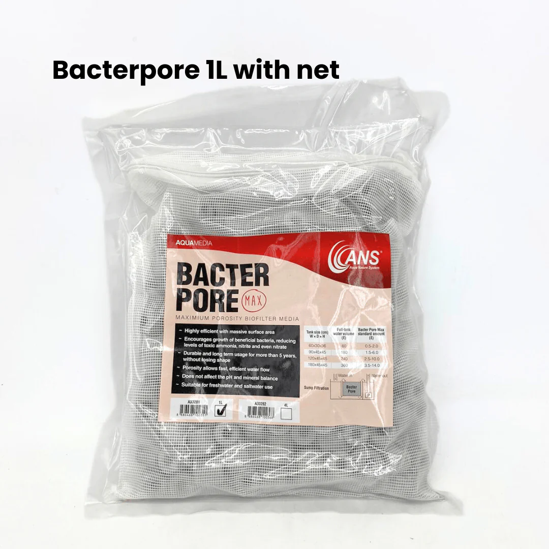 ANS BacterPore MaxSuper Porous Ceramic Rings | Aquarium Koi Pond | pH Neutral Long Lasting - Image 6
