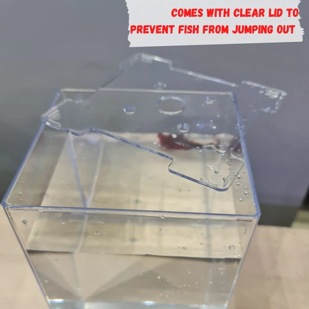 ANS Betta Competition Display Tank 13x12x19cm - Image 3