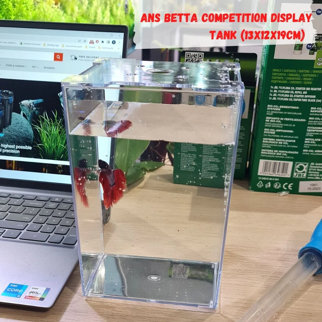 ANS Betta Competition Display Tank 13x12x19cm - Image 5