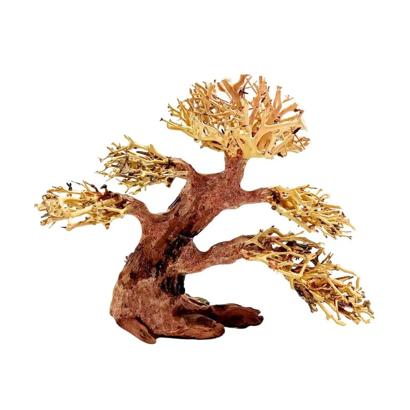 ANS Bonsai Tree 17F (S / M) - Image 3