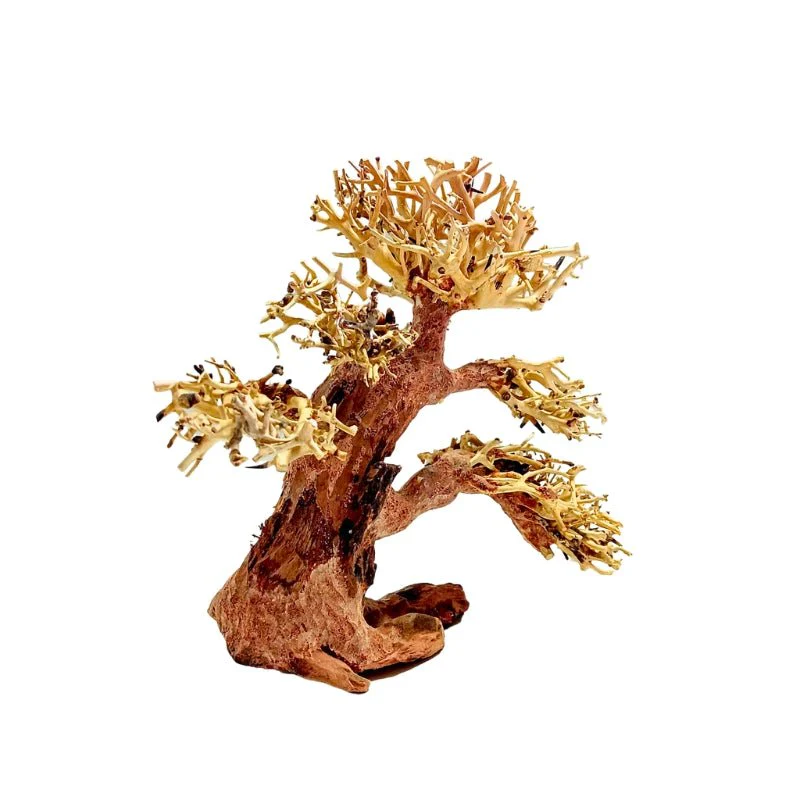ANS Bonsai Tree 17F (S / M) - Image 4