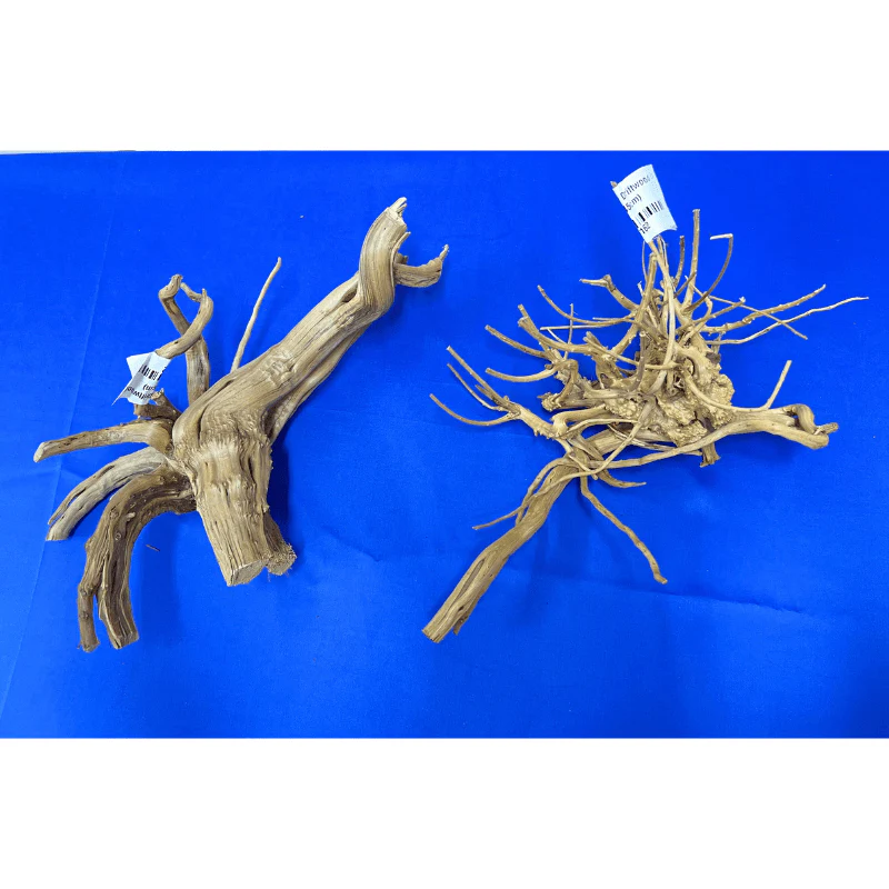 ANS Branchy Driftwood L (36-45cm) - Image 2