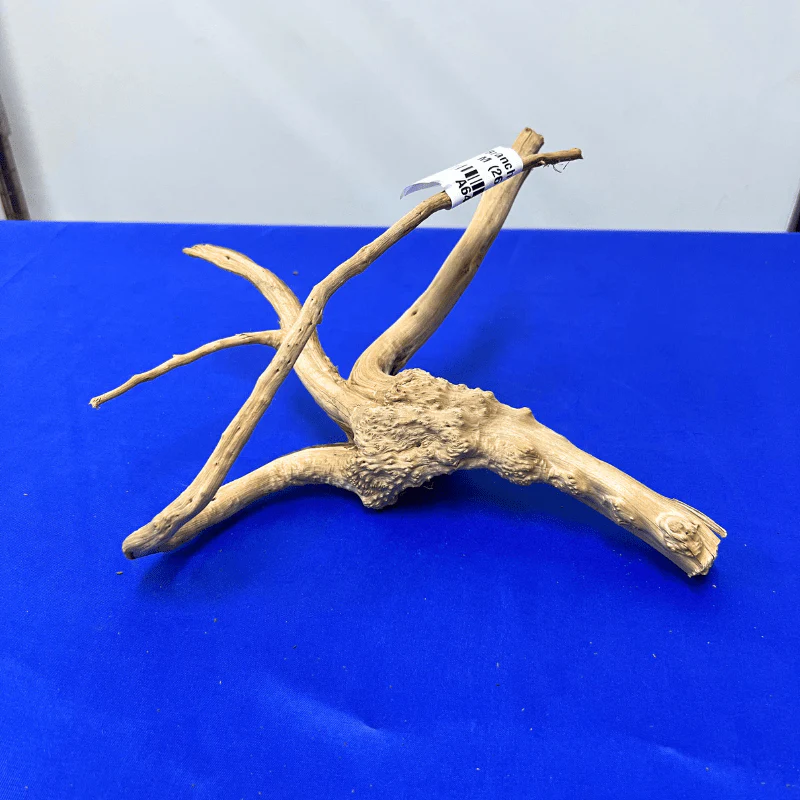 ANS Branchy Driftwood M (26-35cm) - Image 2