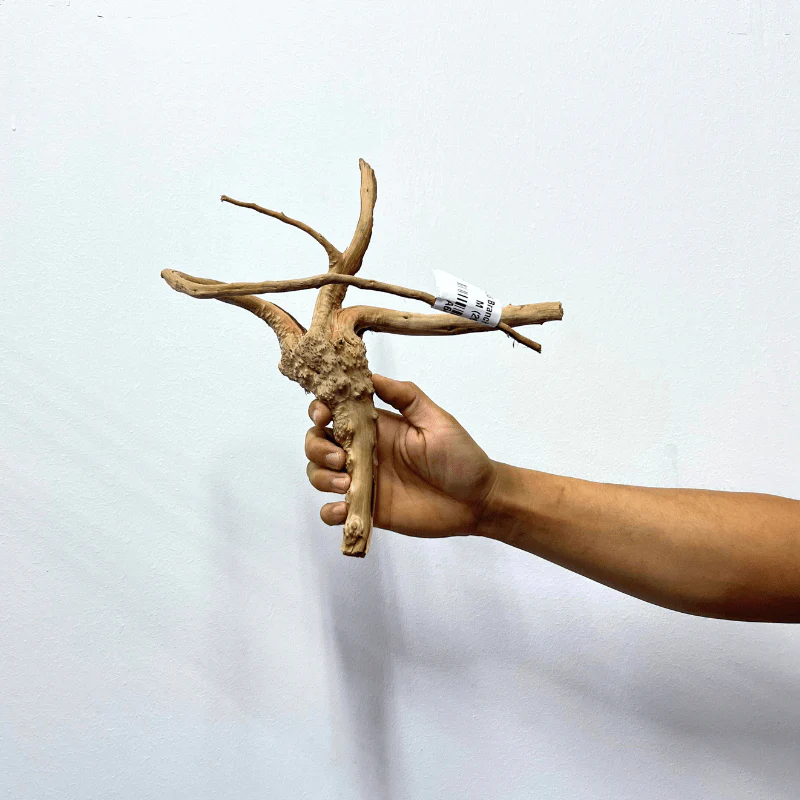 ANS Branchy Driftwood M (26-35cm) - Image 4