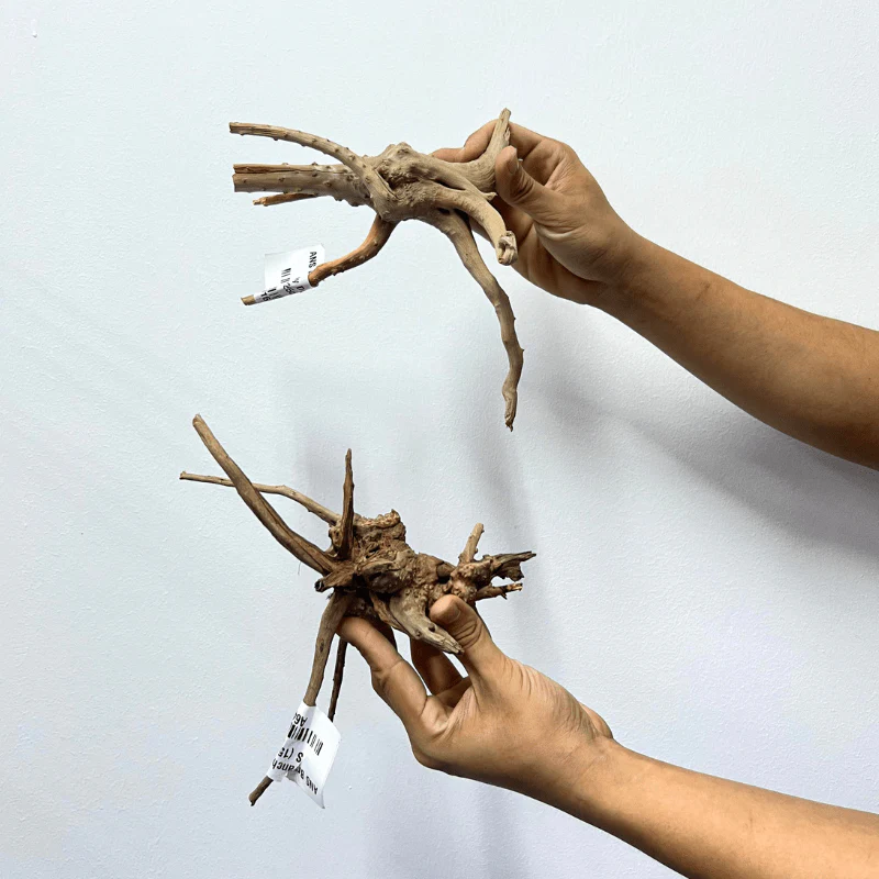 ANS Branchy Driftwood S (15-25cm)