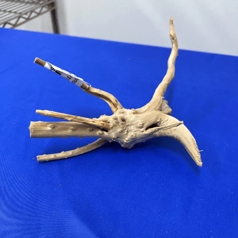 ANS Branchy Driftwood S (15-25cm) - Image 2