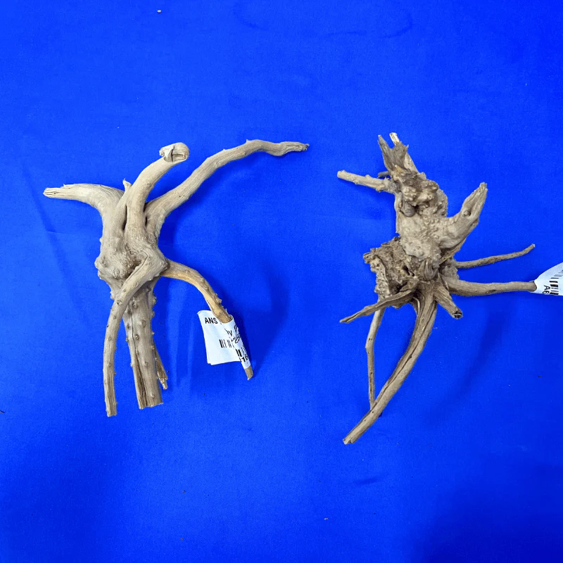 ANS Branchy Driftwood S (15-25cm) - Image 3