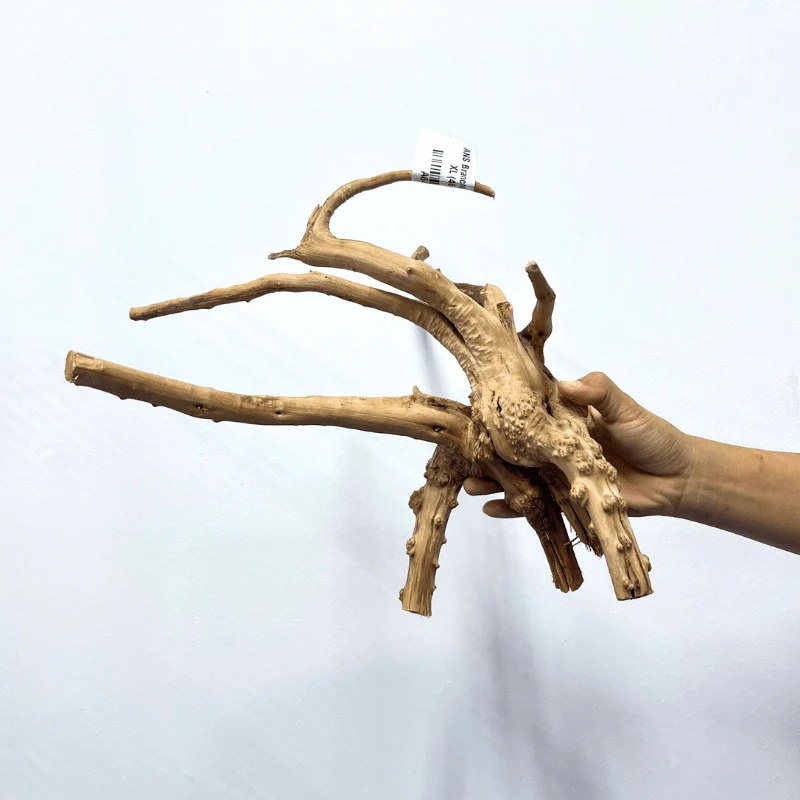 ANS Branchy Driftwood  XL (46-55cm) - Image 2