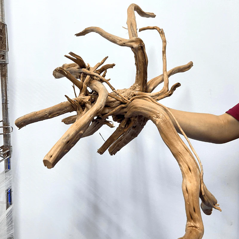 ANS Branchy Driftwood XXL (56-70cm)