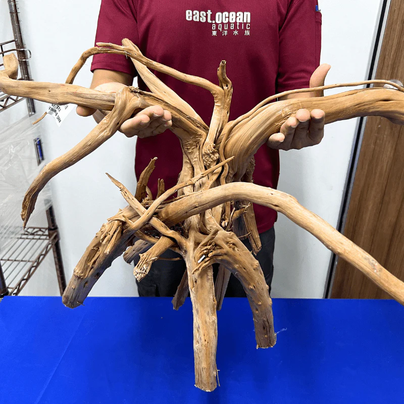 ANS Branchy Driftwood XXL (56-70cm) - Image 2