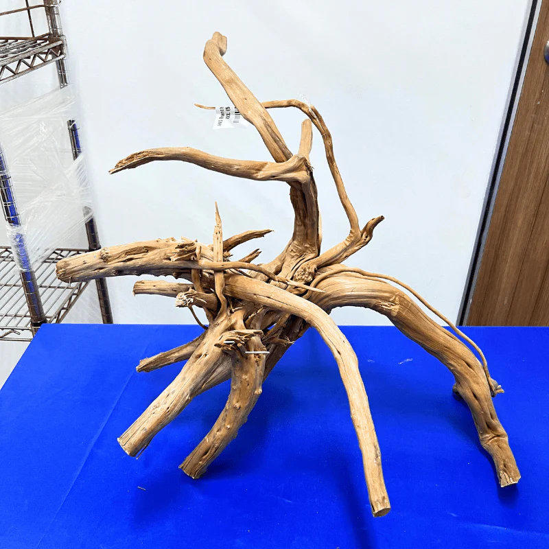ANS Branchy Driftwood XXL (56-70cm) - Image 3