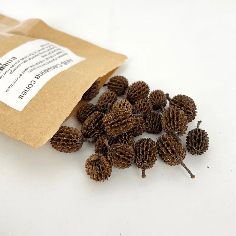 ANS Casuarina Cones Aquarium | Lower pH Tannins | - Image 4