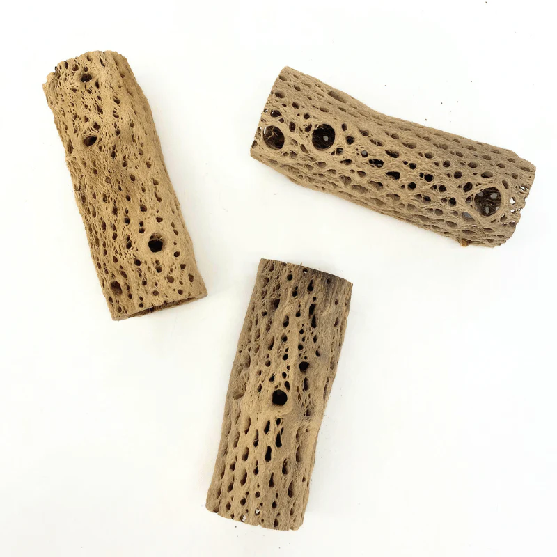 ANS Cholla Tunnel Tubes Single S/M (driftwood) - Image 11
