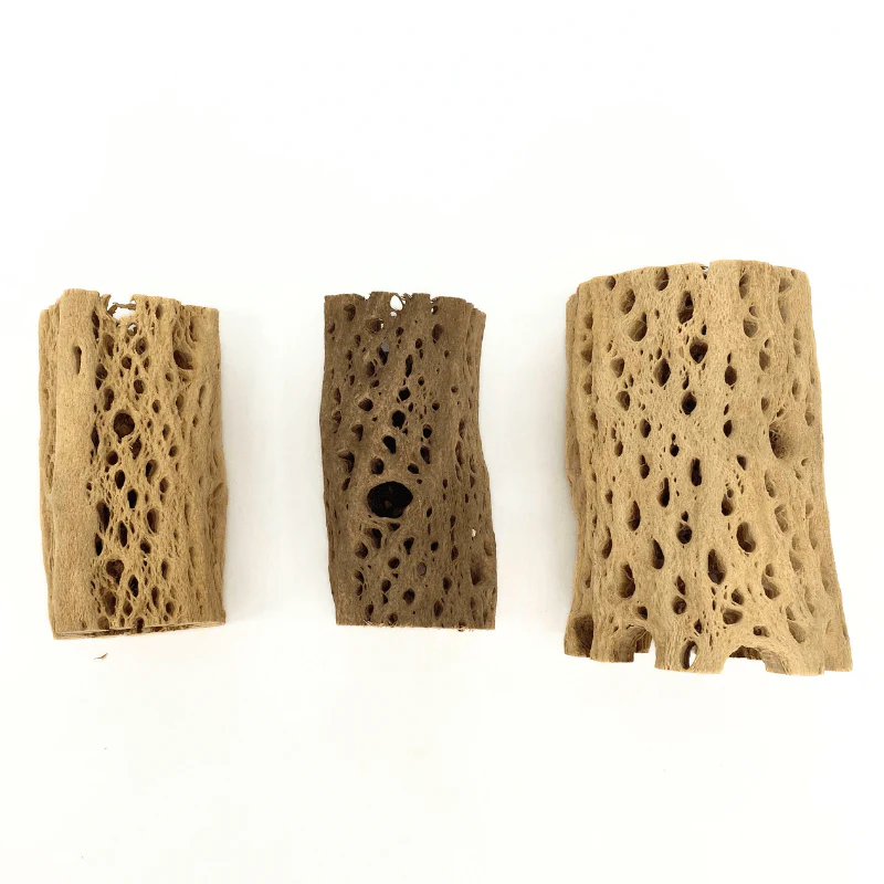 ANS Cholla Tunnel Tubes Single S/M (driftwood) - Image 12