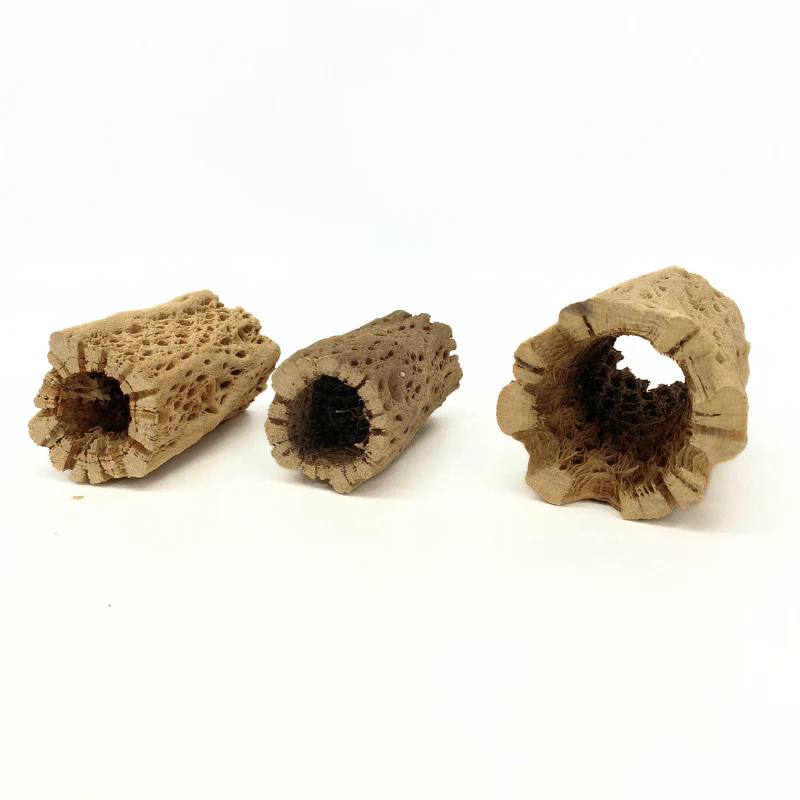 ANS Cholla Tunnel Tubes Single S/M (driftwood) - Image 13