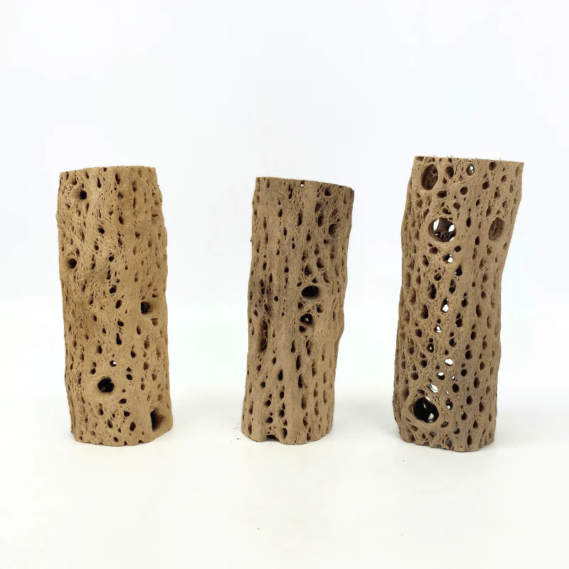 ANS Cholla Tunnel Tubes Single S/M (driftwood) - Image 4