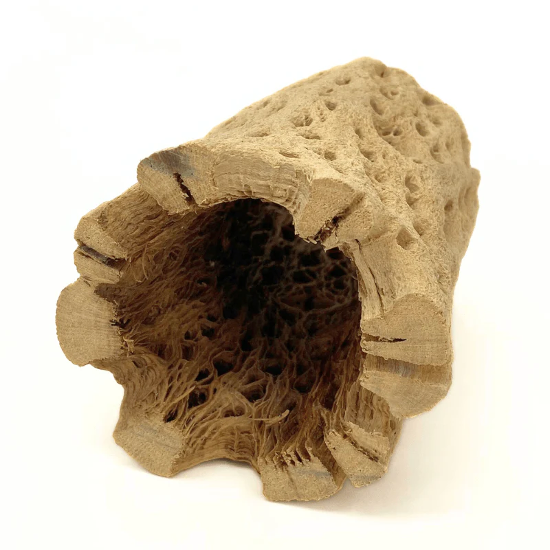 ANS Cholla Tunnel Tubes Single S/M (driftwood) - Image 5