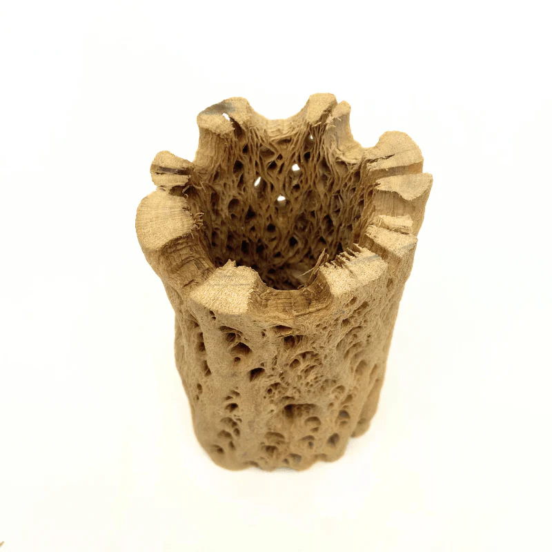 ANS Cholla Tunnel Tubes Single S/M (driftwood) - Image 7