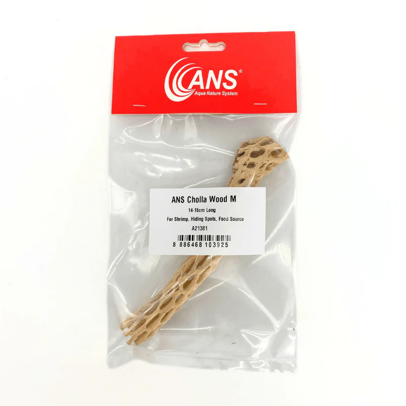 ANS Cholla Wood S/M (shrimp wood) - Image 2