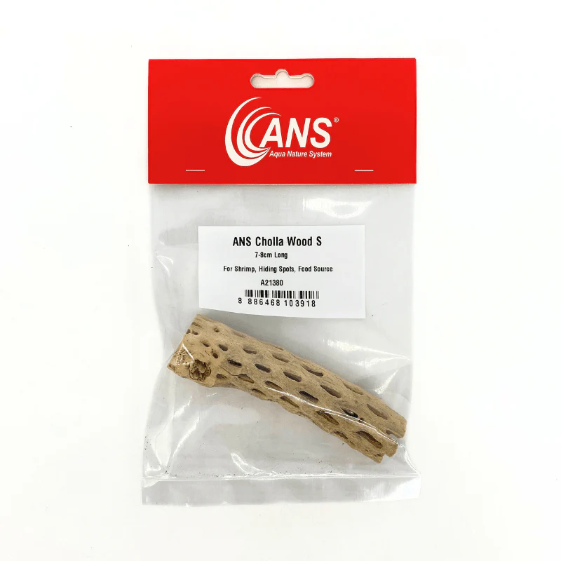 ANS Cholla Wood S/M (shrimp wood) - Image 3
