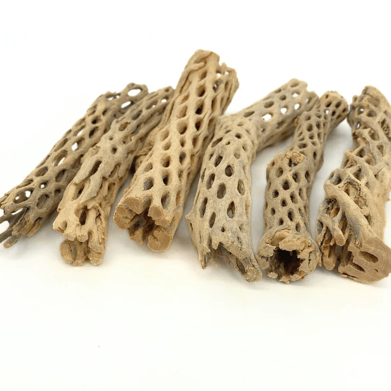 ANS Cholla Wood S/M (shrimp wood) - Image 6