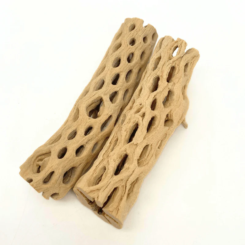 ANS Cholla Wood S/M (shrimp wood) - Image 7