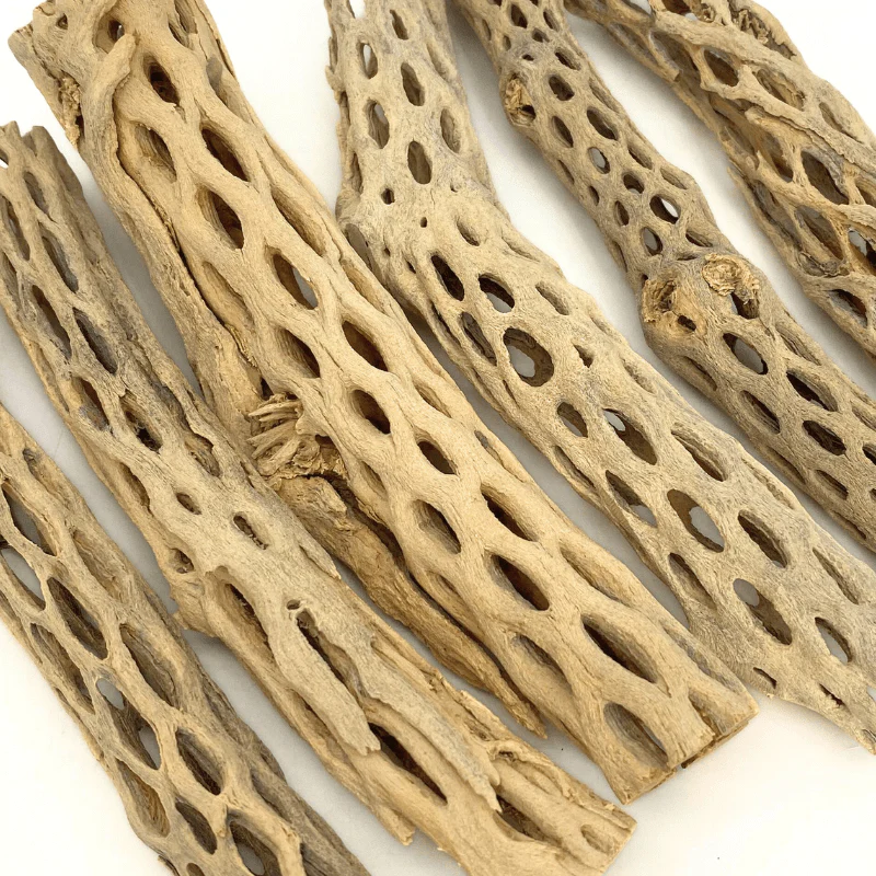 ANS Cholla Wood S/M (shrimp wood) - Image 8