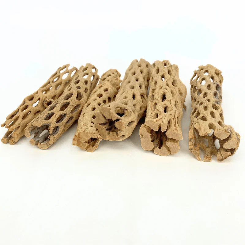 ANS Cholla Wood S/M (shrimp wood) - Image 9