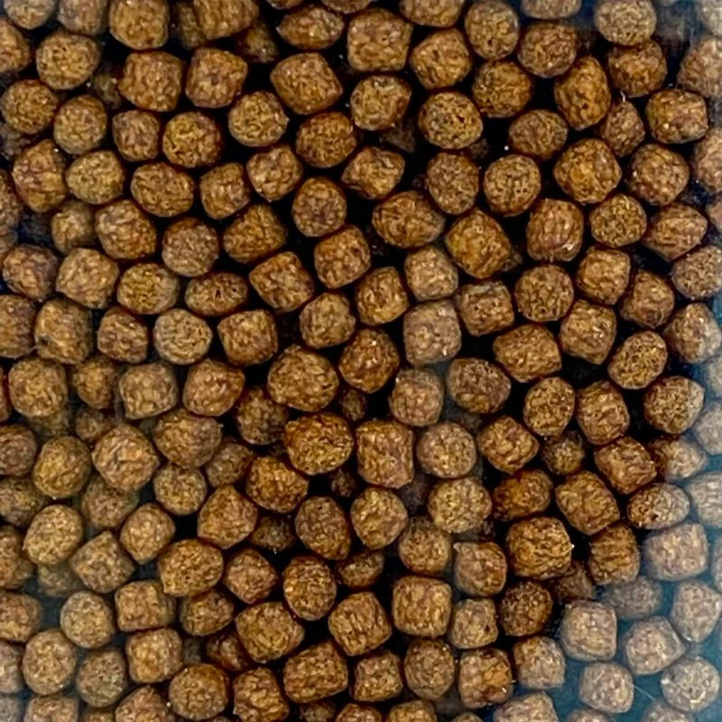 ANS Colour feed 21days (S) 1000g - Image 3