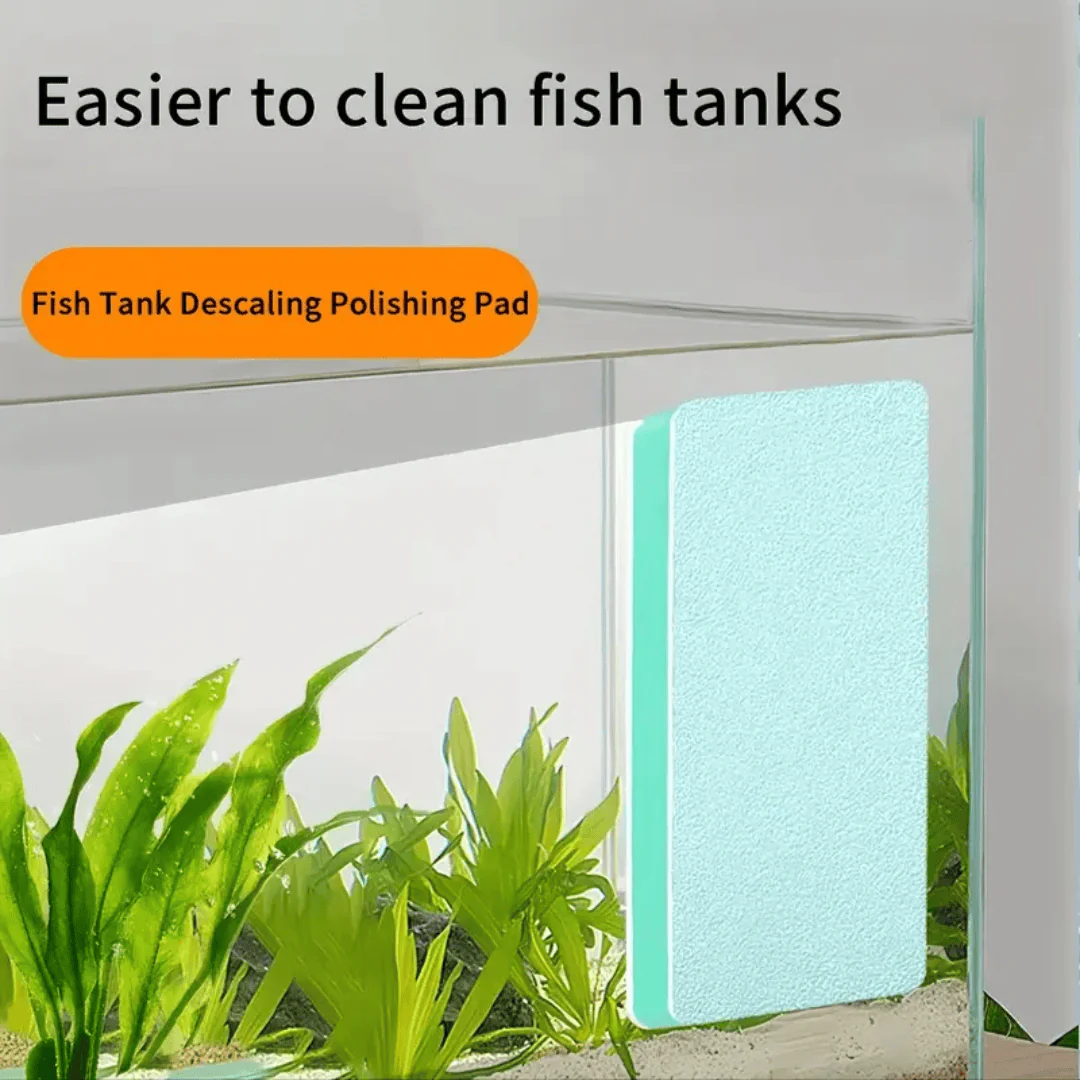 ANS Descaling Sponge (2pcs) (remove stains on glass) - Image 2