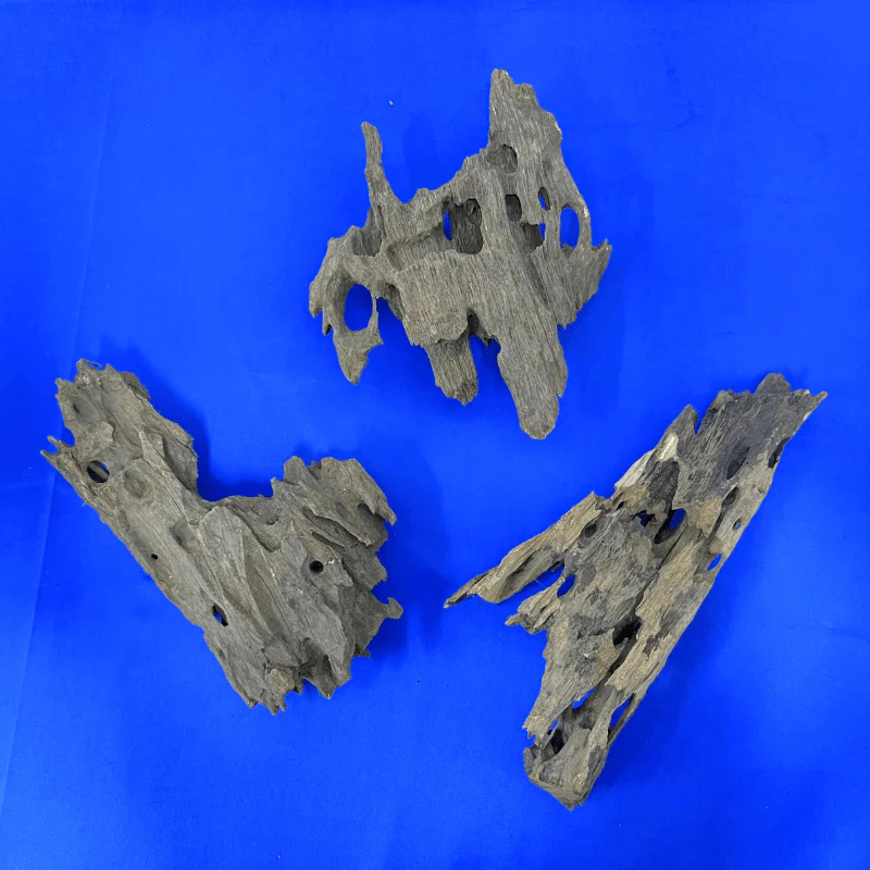 ANS Dragon Wood M (20-30cm) - Image 2