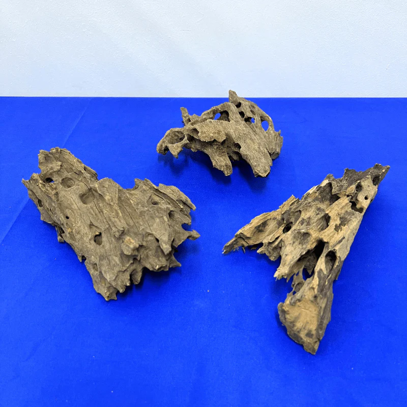 ANS Dragon Wood M (20-30cm) - Image 4