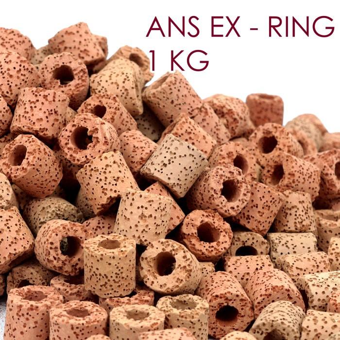 ANS EX Ring 1kg (Red) - Image 6