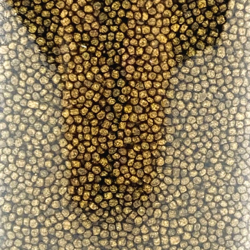 ANS Extreme Growth Pellet (S pellet) 1100g - Image 2