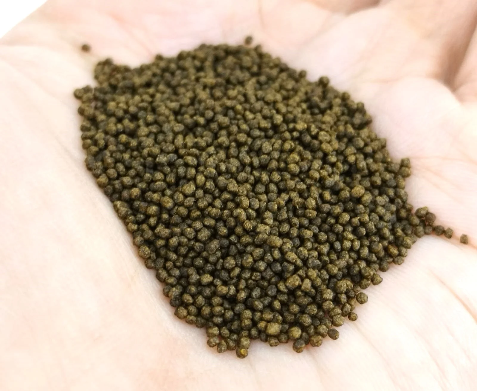 ANS Extreme Growth Pellet (S pellet) 1100g - Image 3