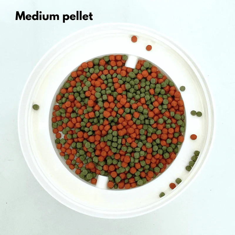 ANS Fish Feed (MIX COLOURED) small/medium 1000g - Image 3