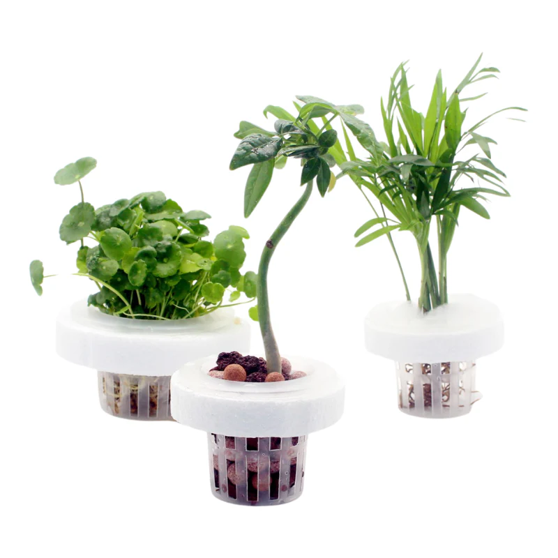 ANS Floating Planter (XS/S/M/L) - Image 3