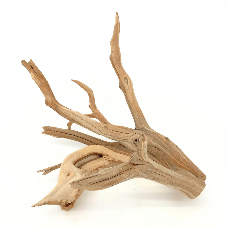 ANS Ghostwood Driftwood (Rare!) - Image 12