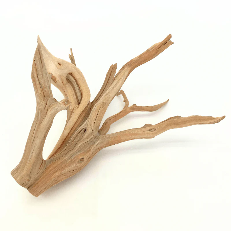 ANS Ghostwood Driftwood (Rare!) - Image 13