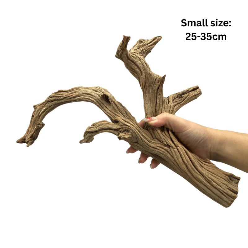 ANS Ghostwood Driftwood (Rare!) - Image 2