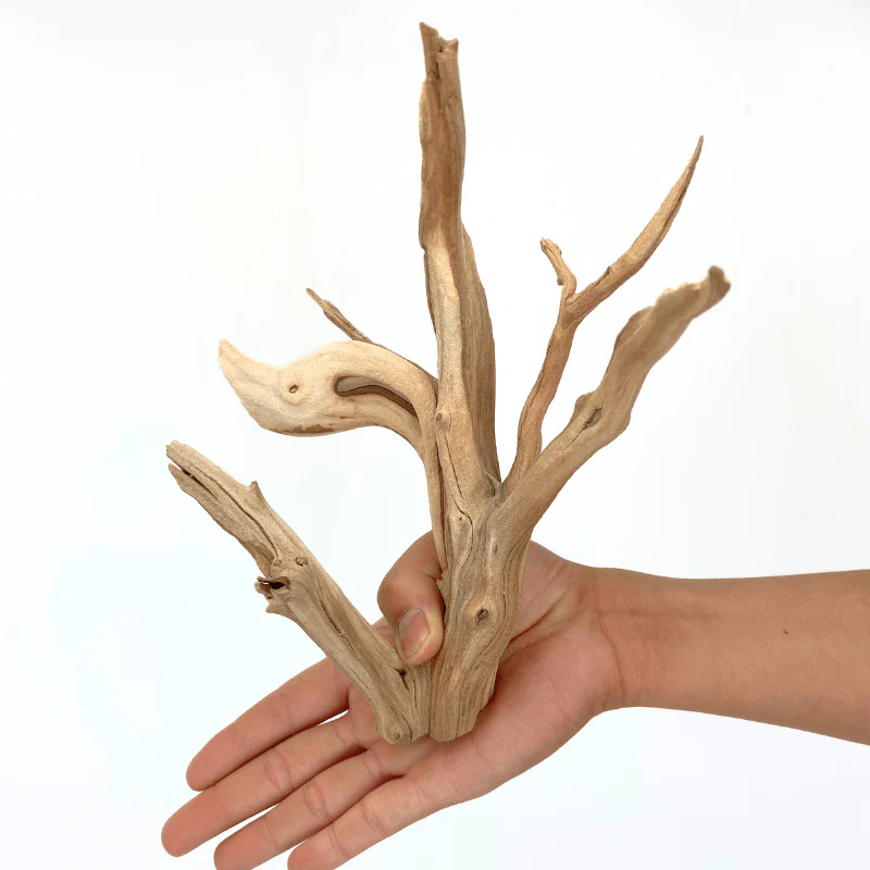 ANS Ghostwood Driftwood (Rare!) - Image 3