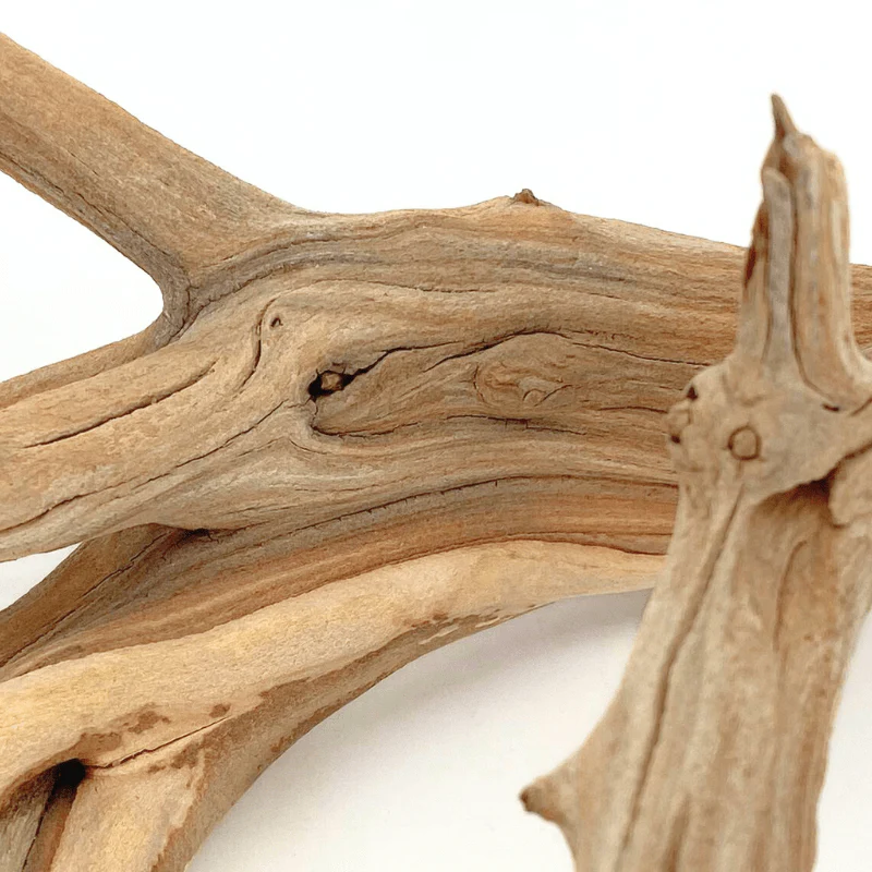 ANS Ghostwood Driftwood (Rare!) - Image 5