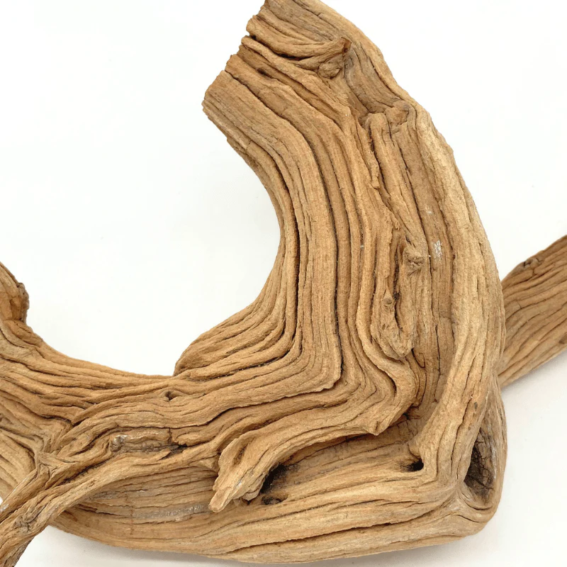 ANS Ghostwood Driftwood (Rare!) - Image 6