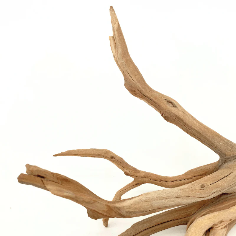 ANS Ghostwood Driftwood (Rare!) - Image 8